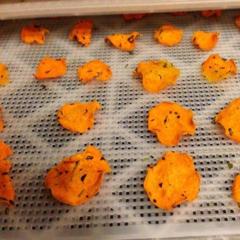 Delicious bataattia pelimerkit lähdössä dehydrator ^ _ ^