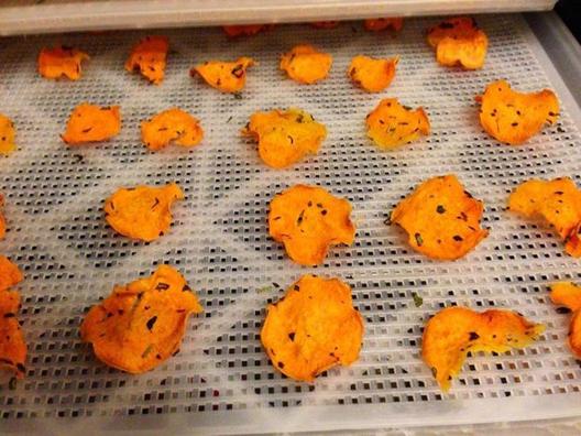 Delicious bataattia pelimerkit lähdössä dehydrator ^ _ ^